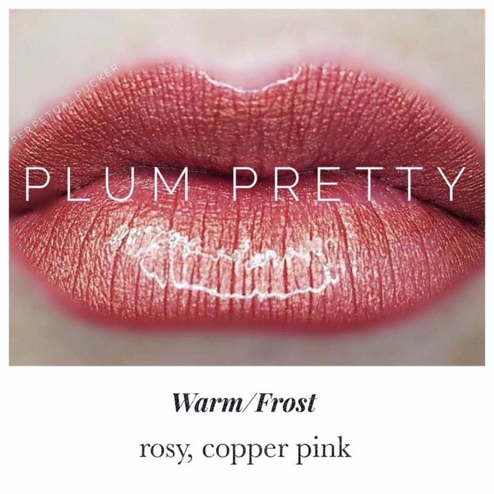 Plum Pretty Official Make Up of Miss USA